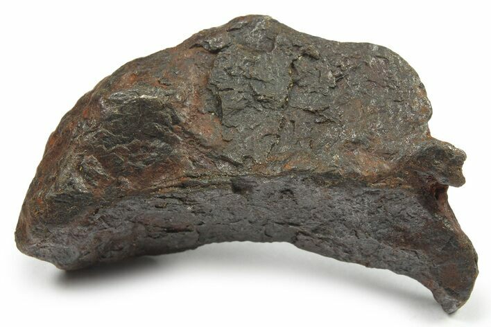 Canyon Diablo Iron Meteorite ( g) - Arizona #270526